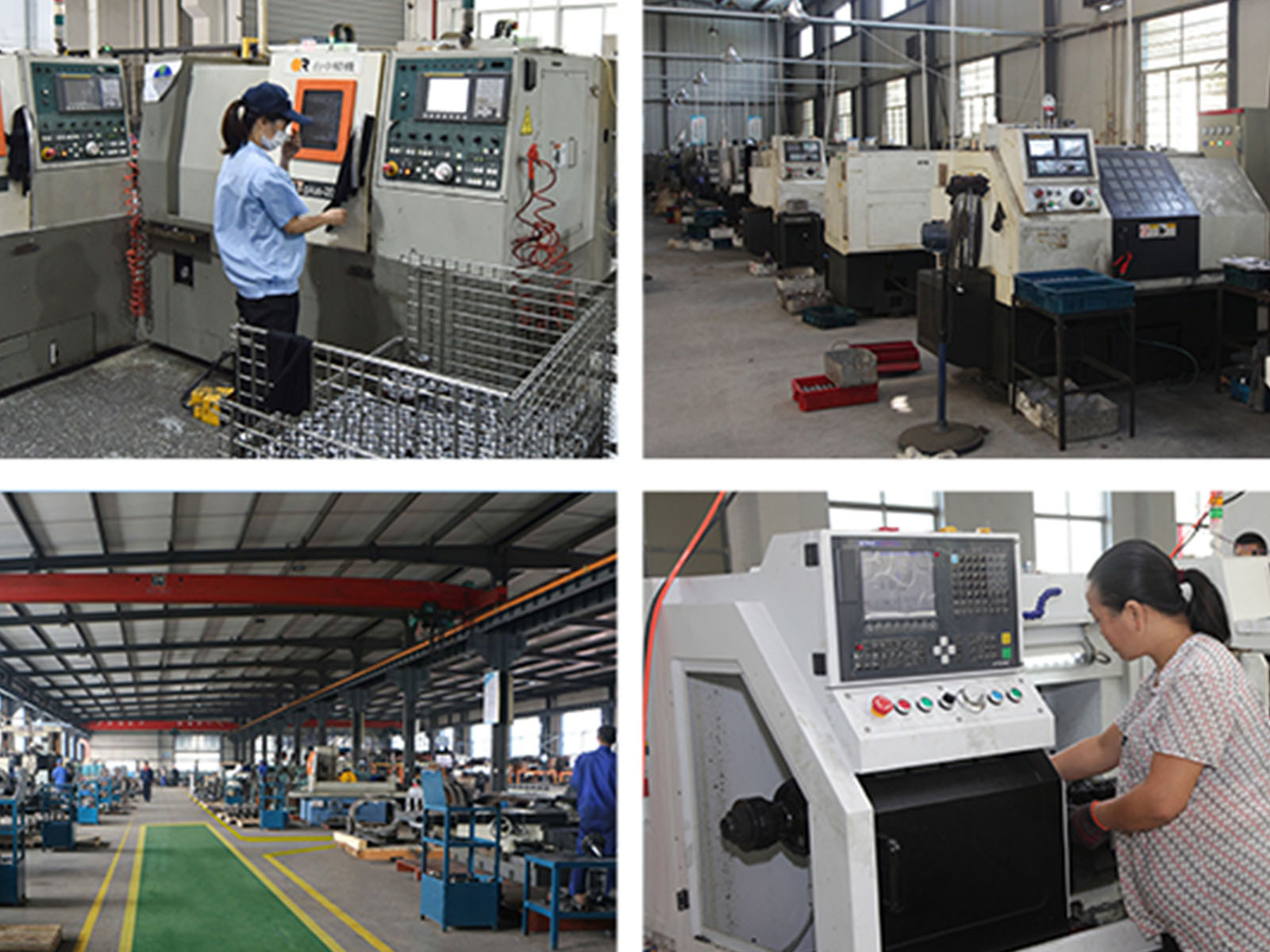 Expert Team for Poultry Processing Blades